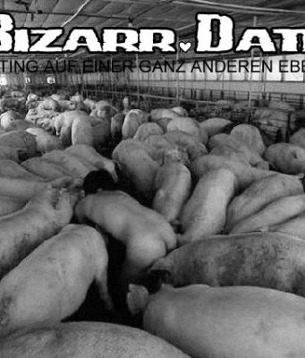 Petplay und ein Leben als Sau im Zuchtstall Petplay in München